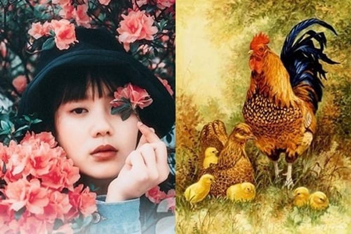  Những cô gái gà nghiêm túc và có trách nhiệm trong công việc, tận tâm và không bao giờ lười biếng. Trong gia đình, họ cũng là những người nội trợ chăm chỉ, giữ nhà cửa sạch sẽ và khiến gia đình có cuộc sống thoải mái.