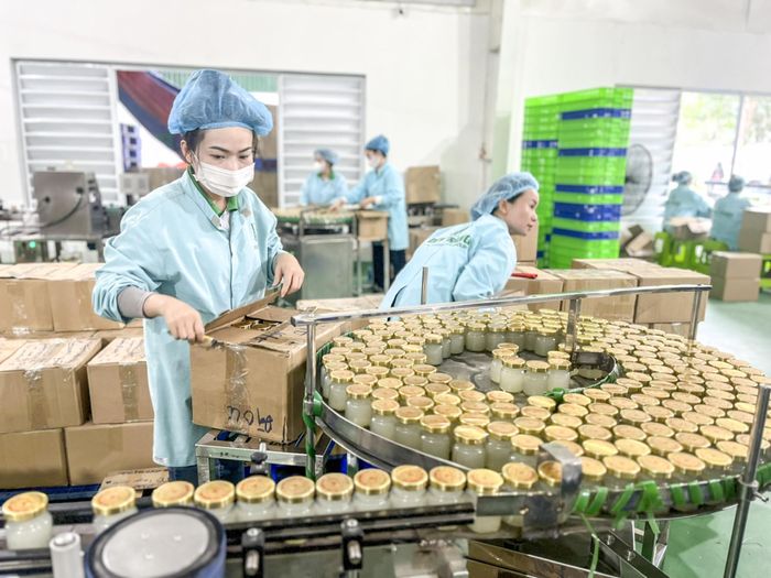 Hoạt động sản xuất tại DT Group.