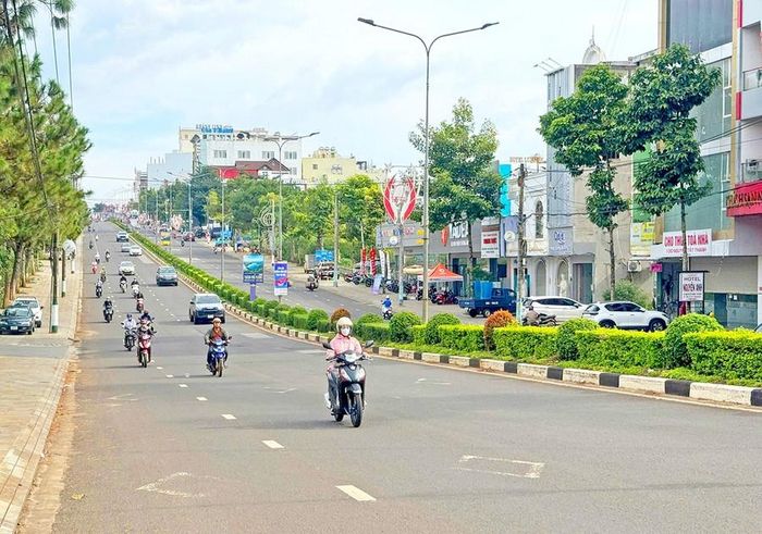 Đường Nguyễn Tất Thành (TP. Pleiku). Ảnh: Nguyên Võ