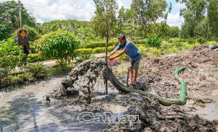 Nông dân Lê Văn Tùng, ấp Ba Nhất, xã Tam Giang Tây, cho biết, gia đình tuân thủ tốt việc cải tạo vuông theo quy định, làm khu chứa đảm bảo đủ chứa; không để đất, bùn tràn ra sông, rạch gây ô nhiễm môi trường.