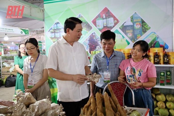 Phó Chủ tịch UBND tỉnh Lê Đức Giang cùng các đại biểu tham quan gian hàng.