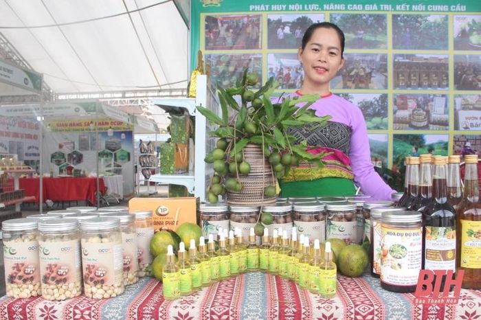 Các sản phẩm từ quả mắc ca của xã Cát Vân (Như Xuân).