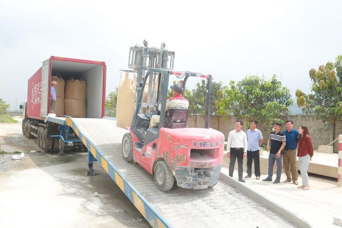 Lãnh đạo Sở Khoa học và Công nghệ cùng đại diện doanh nghiệp kiểm tra lô hàng sản phẩm thử nghiệm sản xuất thức ăn dự trữ cho gia súc từ phụ phẩm cây mía trước khi bàn giao cho đối tác Nhật Bản. Ảnh: Thanh Lê