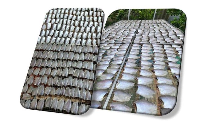 Đặc sản cá khô ở Bạc Liêu được người tiêu dùng ưu chuộng.