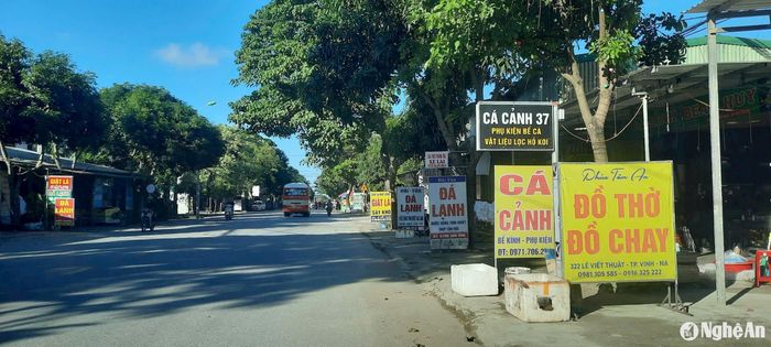 Biển bảng quảng cáo lấn chiếm hành lang giao thông trên đường Lê Viết Thuật, TP.Vinh. Ảnh: Đ.C