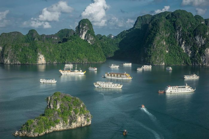 Hạ Long sở hữu nhiều đội tàu chuyên nghiệp, mang đến trải nghiệm cao cấp, dịch vụ chuyên nghiệp cho du khách. Ảnh: Filipe Freitas.