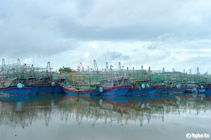 Tàu thuyền chen chúc nhau đậu thành 2 lớp ở Lạch Quèn, xã Tiến Thủy, huyện Quỳnh Lưu. Ảnh tư liệu Văn Trường