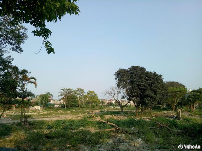 Phía bên trong khu đất. Ảnh: Tiến Đông