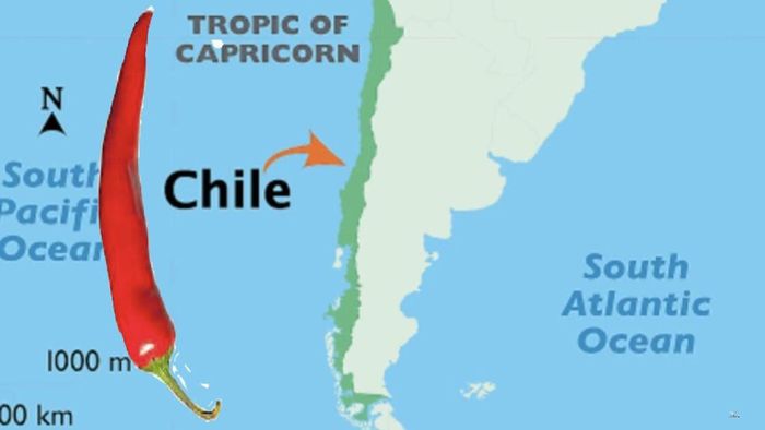 Chile là quốc gia thuộc khu vực Nam Mỹ, có diện tích hơn 700 nghìn km. Do lãnh thổ kéo dài dọc theo Nam Mỹ, hẹp chiều ngang và rất dài, giống như hình trái ớt nên Chile còn được biết đến với biệt danh “Đất nước hình quả ớt”