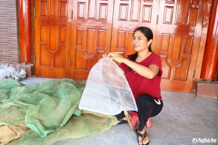 Cũng ở xóm Phú Xuân, chị Nguyễn Thị Lịnh (48 tuổi) chia sẻ: Nhà chị làm 1 mẫu ruộng rươi, cả ruộng chia theo khẩu và ruộng đấu thầu, nên đến mùa rươi hai vợ chồng chị khá tất bật. Những ngày này chị vừa tranh thủ may vá lại lưới, vừa làm thêm 2 cái vợt mới để bắt rươi. Ảnh: Huy Thư