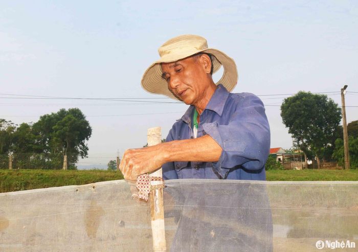Trung bình mỗi sào ruộng cần hơn 10 kg lưới để giăng. Giá lưới hiện tại từ 7.000 - 10.000 đồng/kg (tùy từng loại lưới). Thường mỗi mùa rươi đến bà con chỉ mua thêm một ít lưới phụ thêm số lưới đang có là đủ giăng trên ruộng. Phương châm của bà con nông dân khi đi giăng lưới là phải "đóng sâu, buộc chặt", nếu không chỉ một đợt mưa gió là xiêu, đổ hết lưới. Ảnh: Huy Thư