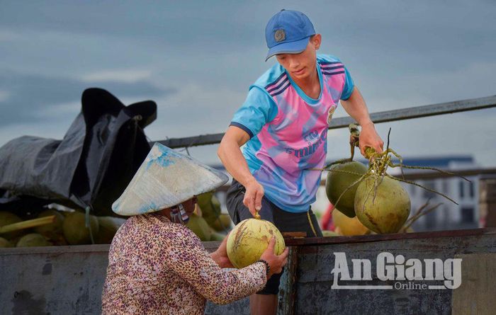 Mua dừa tươi từ chợ nổi