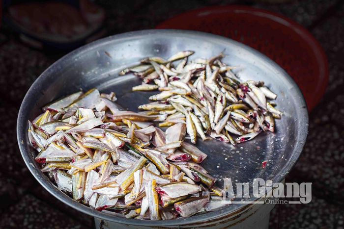 Cá đồng sau khi đánh bắt được đem ra chợ quê bán cho người dân
