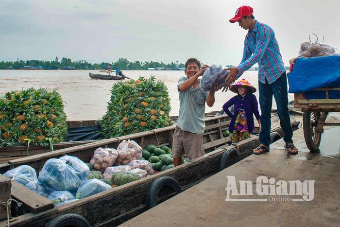 Vận chuyển củ, quả lên chợ