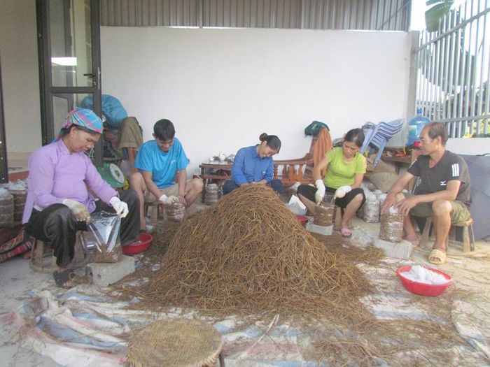 Đóng bầu nấm mang lại nguồn thu cho người dân bản Màng (phường Quyết Thắng).