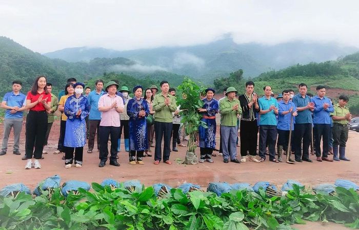 Người dân huyện Ba Chẽ tổ chức trồng cây gỗ lớn phân tán tại khu vực lòng hồ Khe Lừa, xã Lương Mông. Ảnh: Vũ Lương