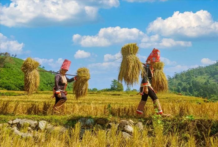 Quảng Ninh luôn chăm lo đời sống cho đồng bào dân tộc đặc biệt là công tác giao đất canh tác. Ảnh: Tiến Minh