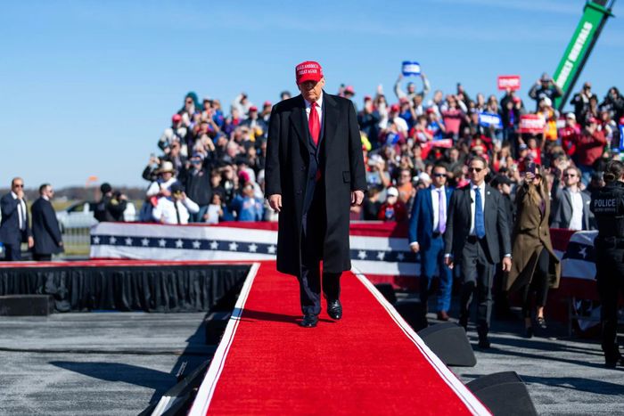  Cựu Tổng thống Donald Trump tại buổi mít tinh ở Lititz, Pennsylvania hôm 3/11. Ảnh: New York Times. 