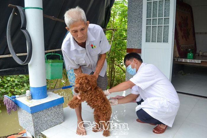 Từ đầu năm đến nay, toàn tỉnh tiêm phòng bệnh dại được 16.323 liều (con), đạt 12% so với tổng đàn. Tỷ lệ tiêm phòng đạt thấp là một trong những nguyên nhân xảy ra các ổ dịch và nguy cơ dịch bệnh lây lan nhanh.