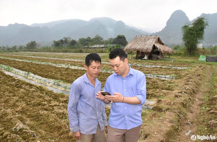 Được sự hướng dẫn của cán bộ xã, ông Tiến thường xuyên cập nhật các kiến thức trồng trọt, cách sản xuất rau hữu cơ trên mạng Internet. Ảnh: Thanh Phúc