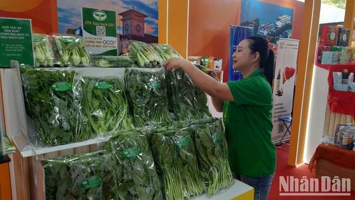 Trưng bày sản phẩm rau sạch tại Tuần lễ sản phẩm OCOP