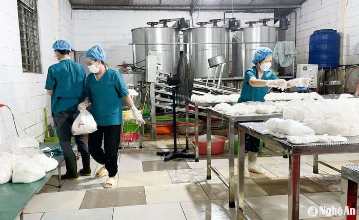 Cơ sở sản xuất bún ở Nghi Phú gặp nhiều khó khăn khi giá gạo nguyên liệu tăng cao, giá bún thành phẩm vẫn giữ nguyên. Ảnh: T.P