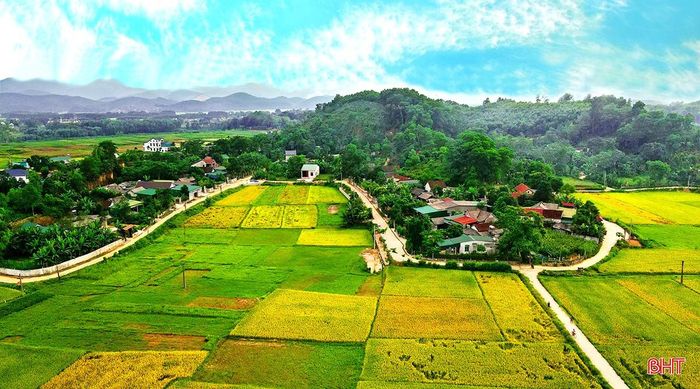  Những cánh đồng lúa trĩu bông bao bọc khu dân cư ven chân núi tạo nên bức tranh no ấm 