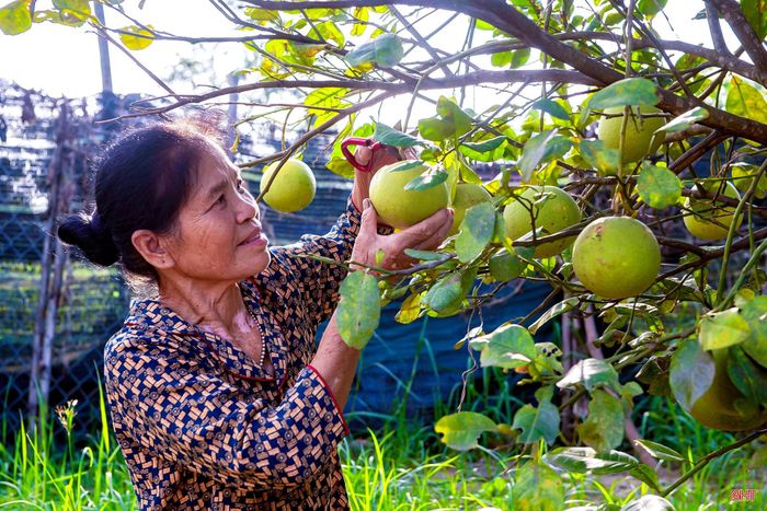  Người dân thôn Thành Phú hăng say lao động sản xuất, xây dựng vườn mẫu. 