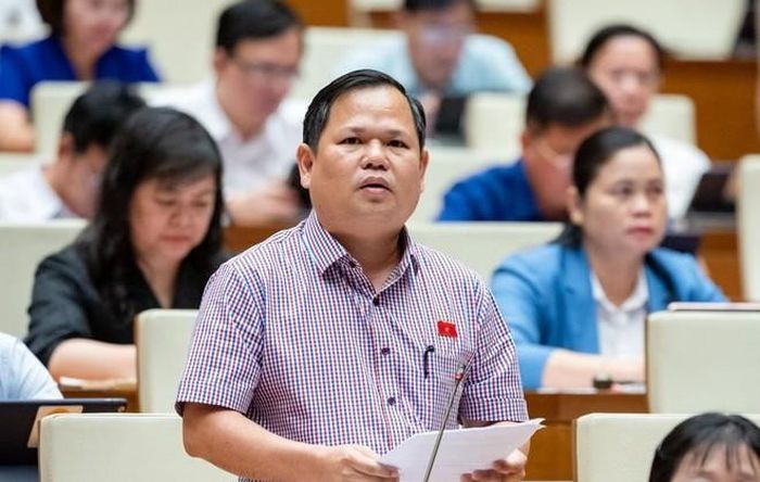 ĐBQH Nguyễn Duy Thanh (đoàn Cà Mau)