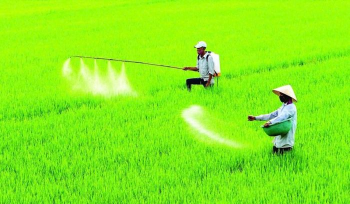 Chăm sóc nông nghiệp. Ảnh: Nguyên Dương