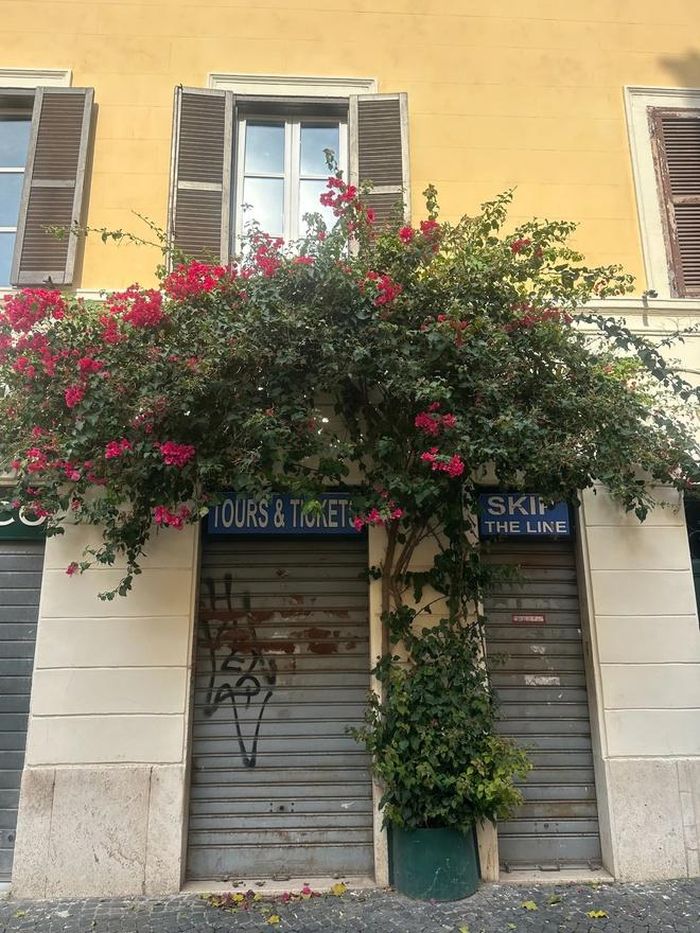 Italy chào đón tôi, vẫn quá đỗi yên bình, nhưng trong tôi đã có một quyết tâm thay đổi chính mình... (Tô Phương Thủy).