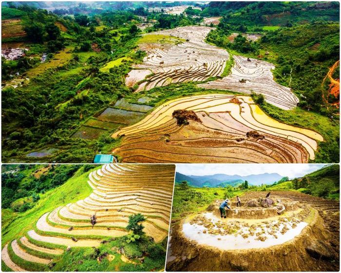 Ruộng bậc thang ở xã Na Ngoi, huyện Kỳ Sơn. Ảnh: Hồ Nhật Thanh
