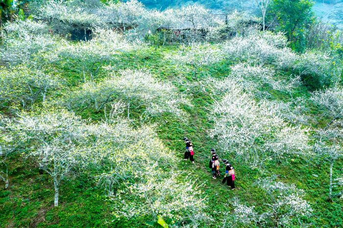 Nếu muốn trải nghiệm cuộc sống của bản làng và núi rừng biên cương, mời bạn lên với Mường Lống (Kỳ Sơn). Ảnh: PV
