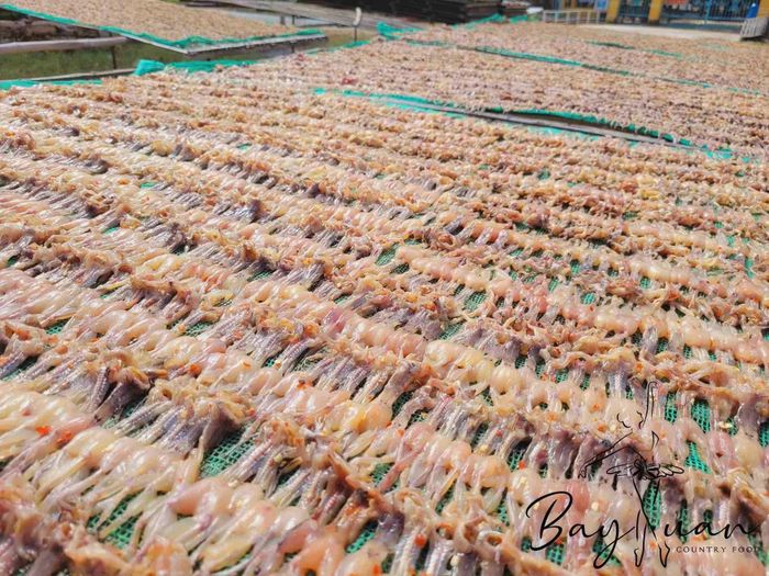Quá trình phơi nắng đòi hỏi người làm phải có kinh nghiệm, canh thời gian sao cho đủ để khô nhái đạt chất lượng thơm ngon nhất. (Nguồn: Vietnamnet)