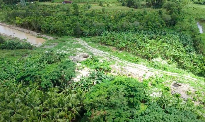 Bãi rác số 8 ở phường Ba Láng, quận Cái Răng có diện tích 4,3ha.