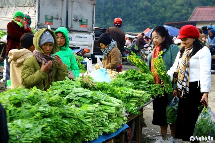 Khách hàng chọn mua các loại rau xanh do bà con vùng cao sản xuất. Ảnh: Xuân Hoàng