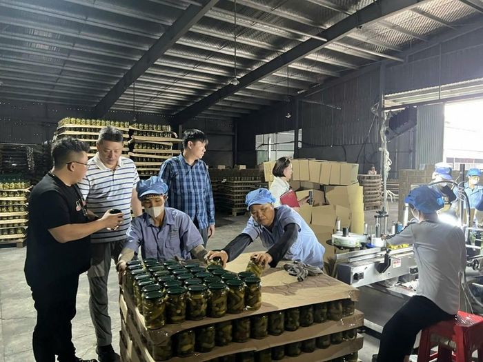 Nhiều sản phẩm của Xí nghiệp chế biến nông sản thực phẩm xuất khẩu Hùng Sơn đạt chứng nhận OCOP, tạo nhiều việc làm cho lao động địa phương.