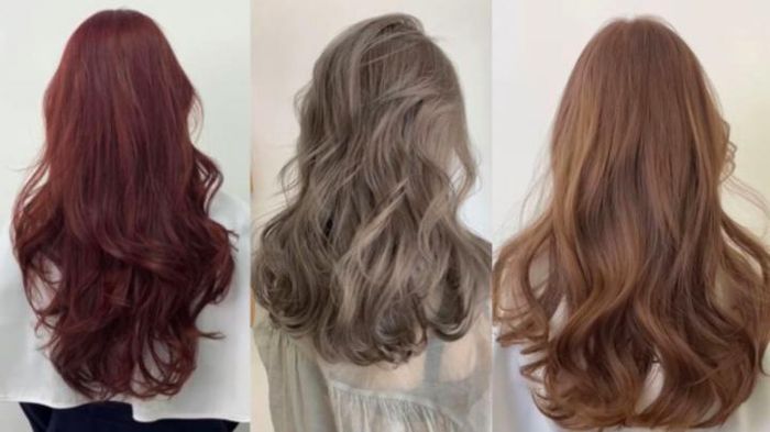 Việc lựa chọn dầu gội đầu phù hợp cho tóc nhuộm là rất quan trọng.