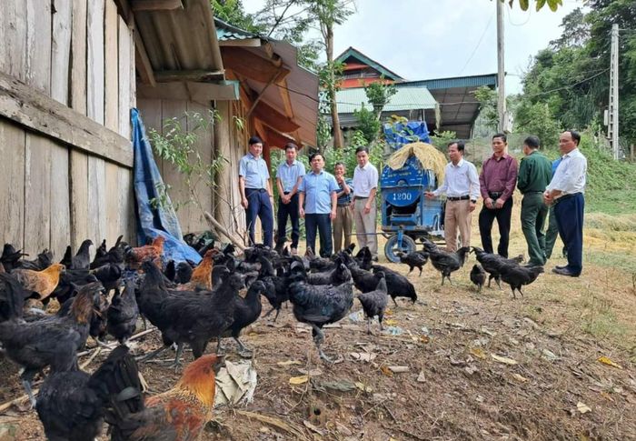 Mô hình nuôi gà đen trên địa bàn huyện Kỳ Sơn. Ảnh: Thanh Phúc