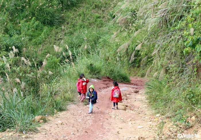 Theo cô Hiền, những giáo viên như cô dù rằng gặp nhiều khó khăn nhưng chỉ cần học sinh đến lớp đầy đủ, các em được sống, học tập trong sự chăm lo đầy đủ của giáo viên đã là một niềm hạnh phúc lớn lao. Ảnh: Đào Thọ