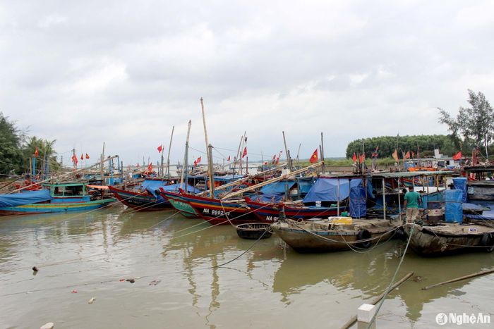 Tàu thuyền tại Nghệ An chủ động neo đậu an toàn để tránh bão. Ảnh: Quang An