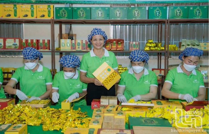 Sản phẩm của Hợp tác xã chè La Bằng đạt tiêu chuẩn OCOP 4 sao.