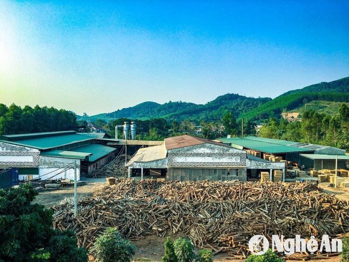 Toàn cảnh Xí nghiệp Chế biến nông lâm sản Sông Hiếu (thị xã Thái Hòa). Ảnh: VT