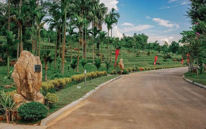 Cung đường đẹp như tranh vẽ.