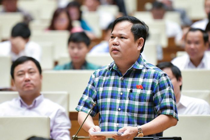 Đại biểu Nguyễn Duy Thanh (Đoàn Cà Mau) đặt câu hỏi chất vấn. Ảnh: media.quochoi.vn