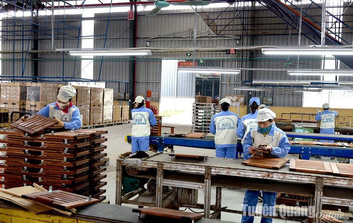 Công nhân Công ty Cổ phần Woodsland Tuyên Quang sản xuất gỗ xuất khẩu.
