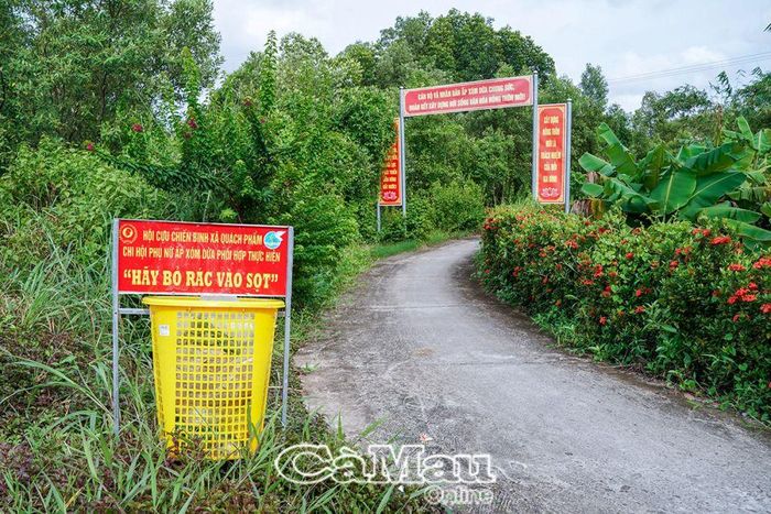 Tuyến đường không rác do Hội Cựu chiến binh xã và Chi hội Phụ nữ ấp Xóm Dừa, xã Quách Phẩm, huyện Đầm Dơi đảm nhiệm đã làm cho bộ mặt nông thôn đổi thay xanh - sạch - đẹp.