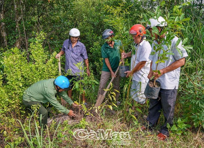 Phong trào trồng cây xanh bảo vệ môi trường của khối đoàn thể xã Tân Ân Tây, huyện Ngọc Hiển.