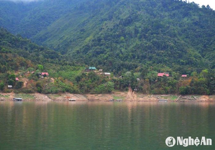 Trong vùng lòng hồ thủy điện Bản Vẽ, không hiếm gặp những hộ dân từ các xã Ngọc Lân, Thanh Sơn (Thanh Chương) vì gặp khó khăn nên trở lại quê cũ để tìm kế sinh nhai. Ảnh: Nhật Lân