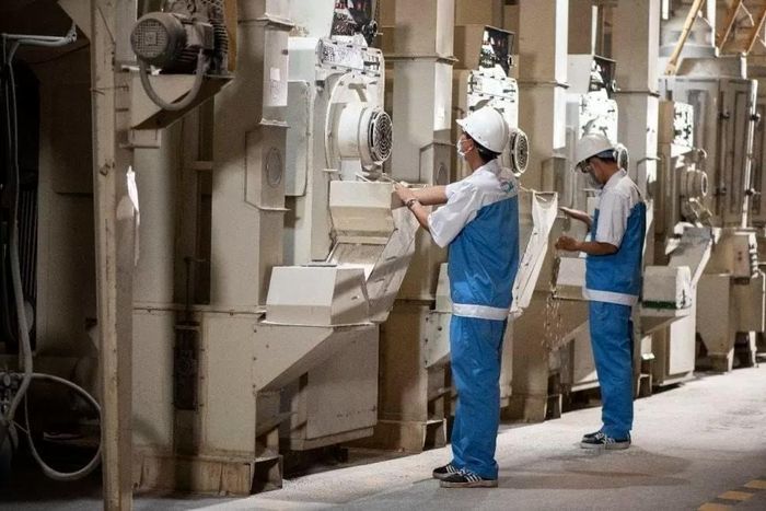 APG ECO kết hợp cùng với nhà máy ANGIMEX sản xuất ra những dòng gạo “ngon - sạch - đẹp” cho người tiêu dùng